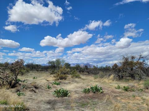 15957 W Diamond Bell Ranch Rd, Tucson, AZ 85736