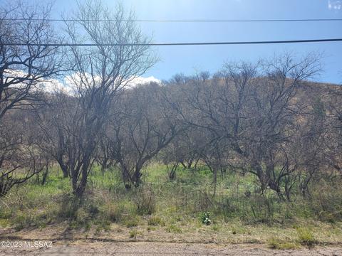 961 Calle Amarillo, Rio Rico, AZ 85648