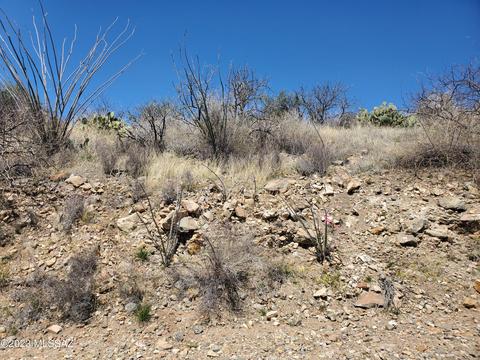 314 Circulo Chica, Rio Rico, AZ 85648