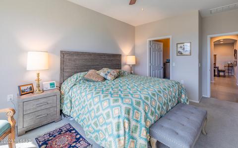 10340 S Buggy Pl, Vail, AZ 85641 photo 19