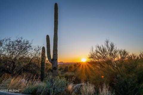 9820 N La Reserve Pl, Tucson, AZ 85737
