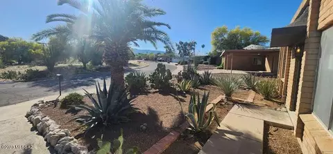 341 N Loquat Ave, Tucson, AZ 85710