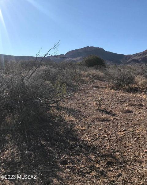 tbd Unknown, Douglas, AZ 85607 photo 3