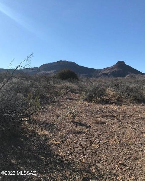 tbd Unknown, Douglas, AZ 85607