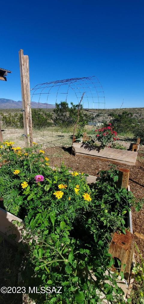 15751 E Marsh Station Rd, Vail, AZ 85641 photo 41