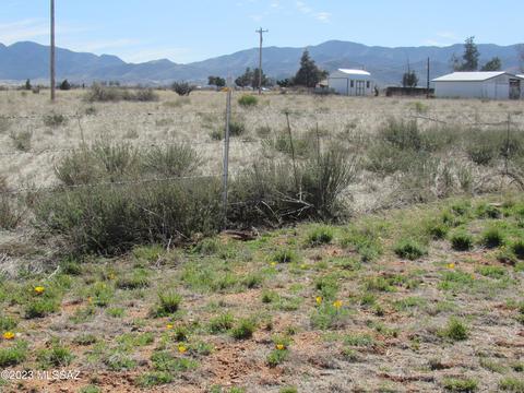 285 E Geneva St, Pearce, AZ 85625 photo 18