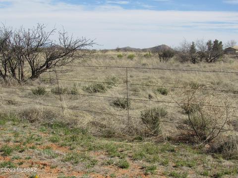 285 E Geneva St, Pearce, AZ 85625 photo 19