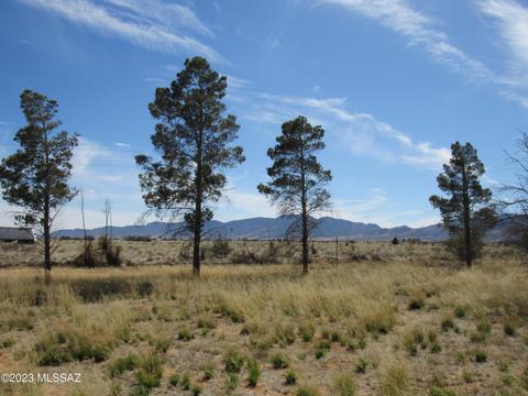 285 E Geneva St, Pearce, AZ 85625 photo 12