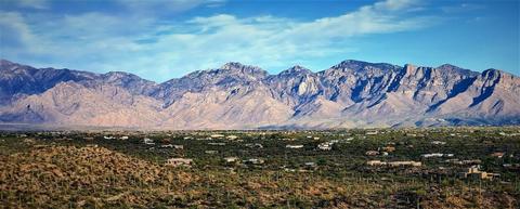 14219 N Gecko Canyon Trl, Tucson, AZ 85755