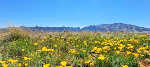 Tbd Utah St, Pearce, AZ 85625