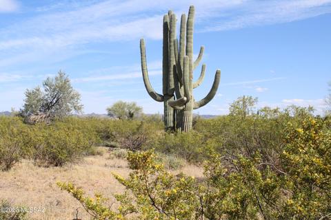 Pinal Vacant Land, Marana, AZ 85658