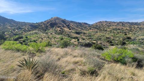 1138 S Acres S Little Emigrant Rd, Bowie, AZ 85605