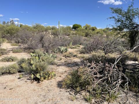 Oracle Foothills Estates, Tucson, AZ 85704