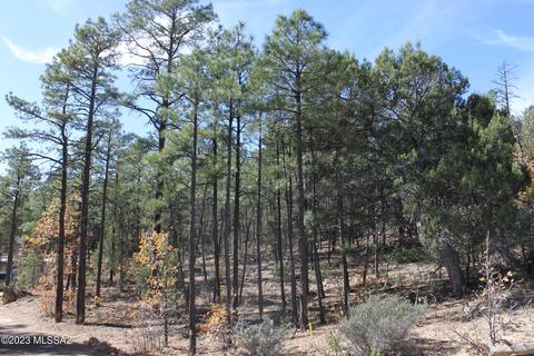1970 S Pleasant View Dr, Show Low, AZ 85901