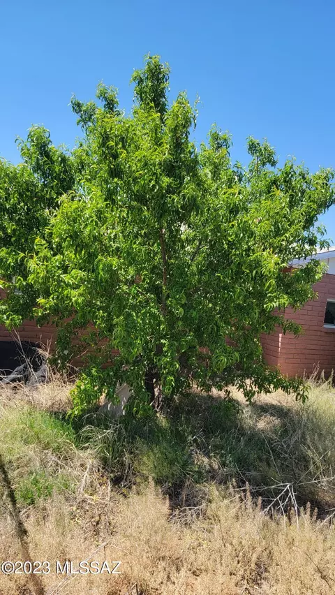 6380 E Mockingbird Rd, Pearce, AZ 85625 photo 45