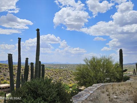 2320 E Della Roccia Ct #21, Oro Valley, AZ 85737
