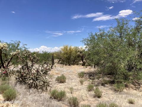 11215 S Mare Dr, Tucson, AZ 85736