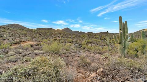 7256 W El Camino Del Cerro, Tucson, AZ 85745