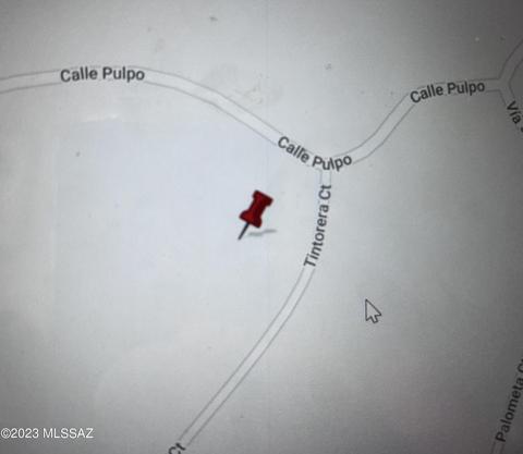 1576 Tintorera Ct, Rio Rico, AZ 85648