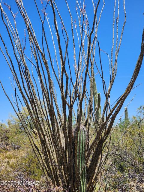 Nn E Derrio Road, Marana, AZ 85658