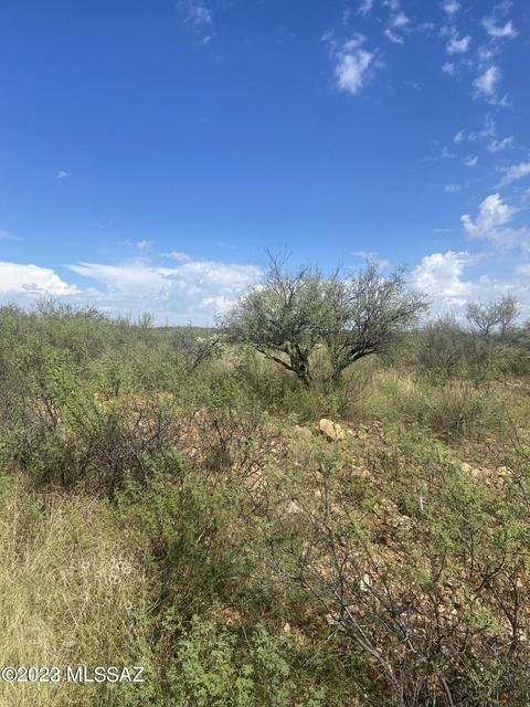 1733 Via Latvia #16, Rio Rico, AZ 85648