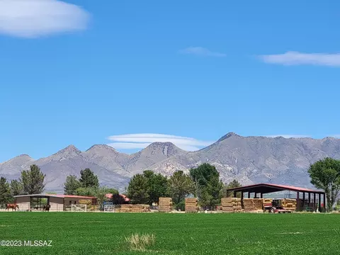 10055 N Mormon Rd, Elfrida, AZ 85610