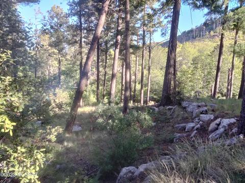 11173 E Carter Canyon Rd, Mount Lemmon, AZ 85619