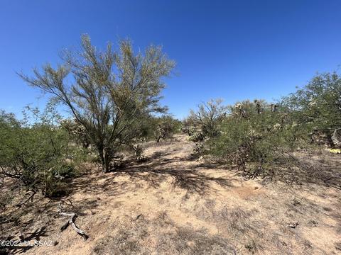 15091 W Many Horses Rd, Tucson, AZ 85736