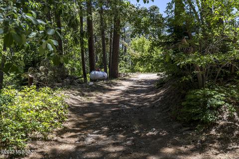 11210 E Miami St, Mount Lemmon, AZ 85619 photo 45