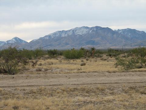 57 S 6 Acres S Happy Camp Cyn, Bowie, AZ 85605
