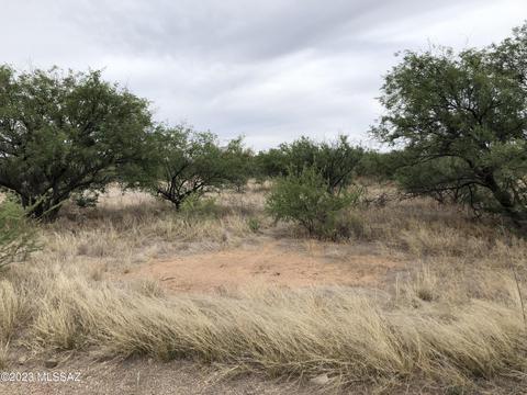 106 Circulo Penjamo #13, Rio Rico, AZ 85648