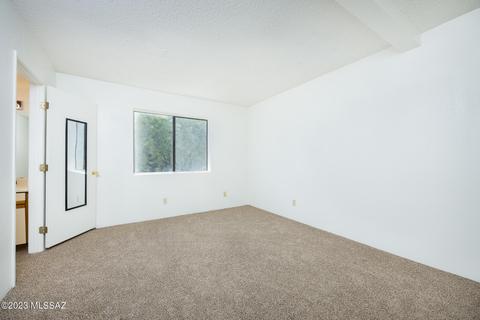 116 E Pastime Rd, Tucson, AZ 85705 photo 11