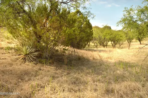 138 Tanglehead Ln, Patagonia, AZ 85624
