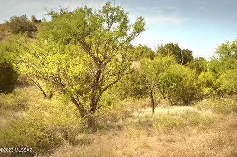 142 Tanglehead Ln, Patagonia, AZ 85624