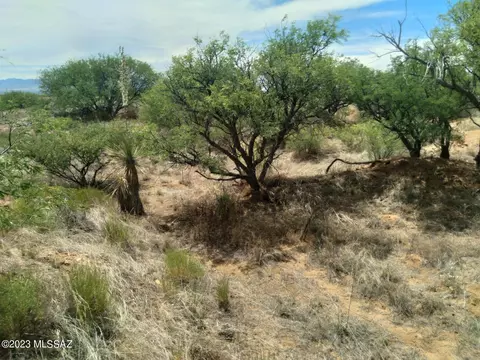 36 E 33 Acre E Tom Jeffords Dr #66, Saint David, AZ 85630 photo 18
