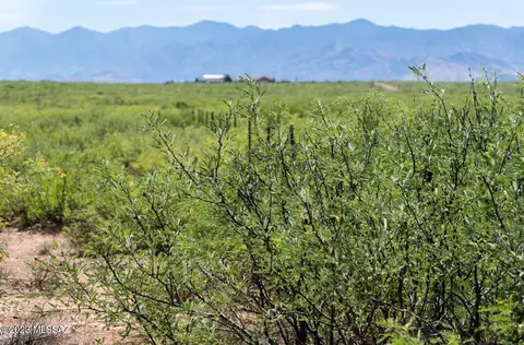 40 S Acres S Rustic Trl, Pearce, AZ 85625 photo 10
