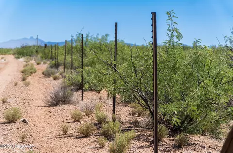 40 S Acres S Rustic Trl, Pearce, AZ 85625 photo 6