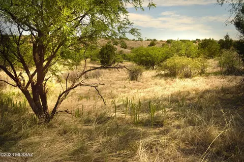 202 Tanglehead Ln, Patagonia, AZ 85624