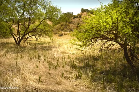 206 Tanglehead Ln, Patagonia, AZ 85624
