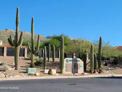 5259 Spring View Dr, Tucson, AZ 85749 photo 36