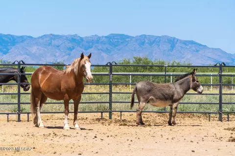 2360 E Old Stewart Rd, Willcox, AZ 85643 photo 45