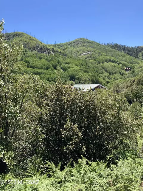 11162 E Upper Goat Hill Rd, Mount Lemmon, AZ 85619 photo 4