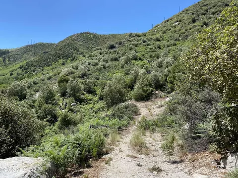 11162 E Upper Goat Hill Rd, Mount Lemmon, AZ 85619