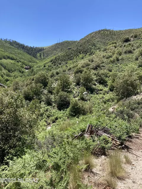 11162 E Upper Goat Hill Rd, Mount Lemmon, AZ 85619 photo 3