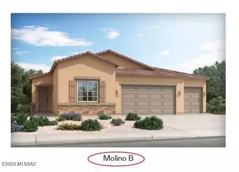 10770 N Cactus Point Dr, Tucson, AZ 85742