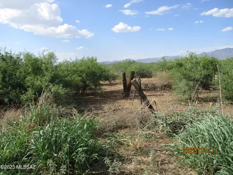 E Chambers Road, Willcox, AZ 85644 photo 7