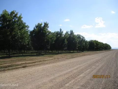 E Chambers Road, Willcox, AZ 85644 photo 3