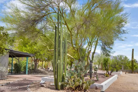 6610 N Harran Dr, Tucson, AZ 85704 photo 11