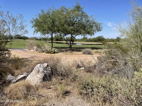 14431 N Giant Saguaro Pl, Oro Valley, AZ 85755