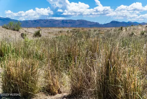 40 Acres Ee Ranch Rd, Mc Neal, AZ 85617